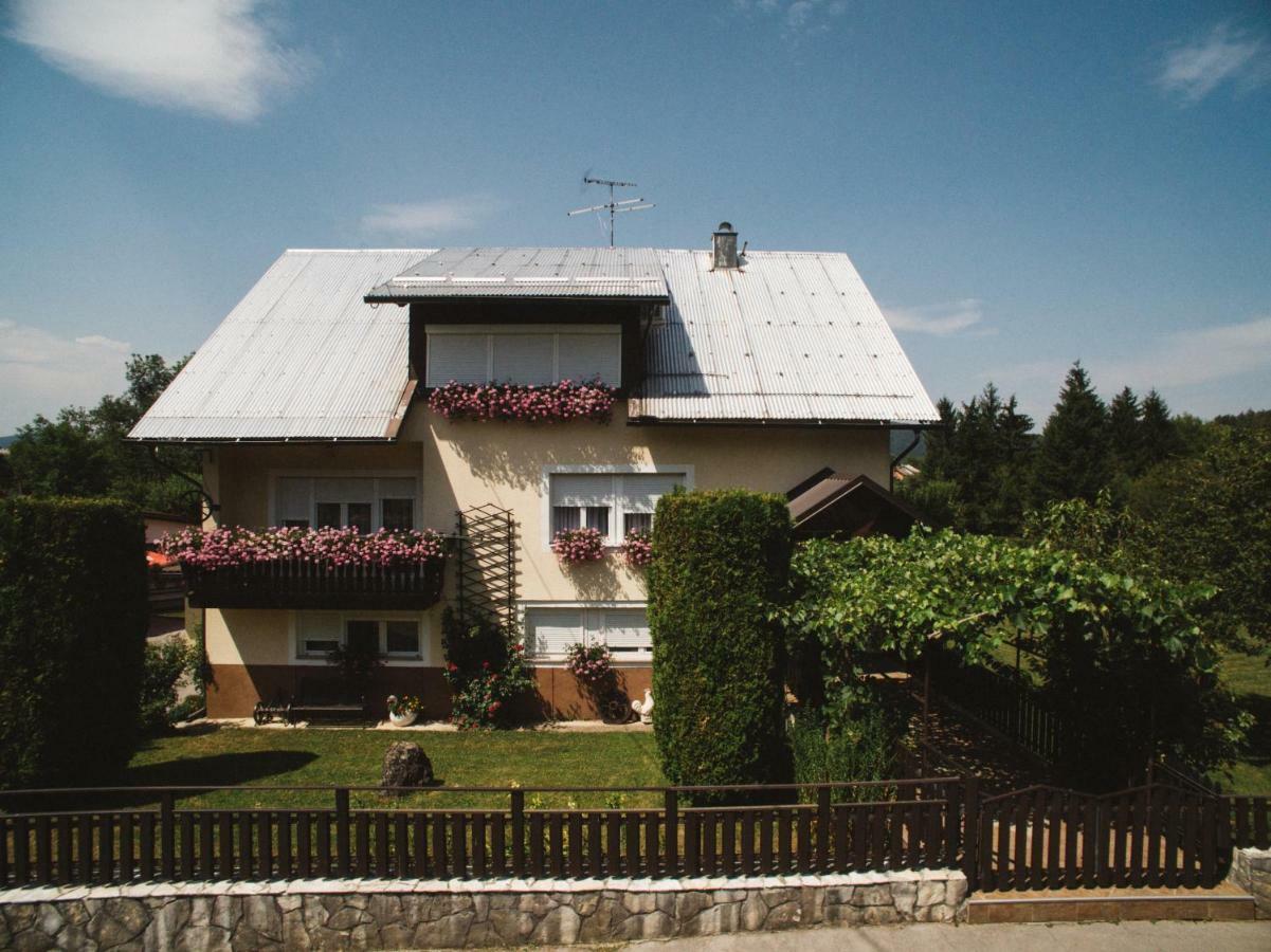 Apartman Belin Ogulin Buitenkant foto